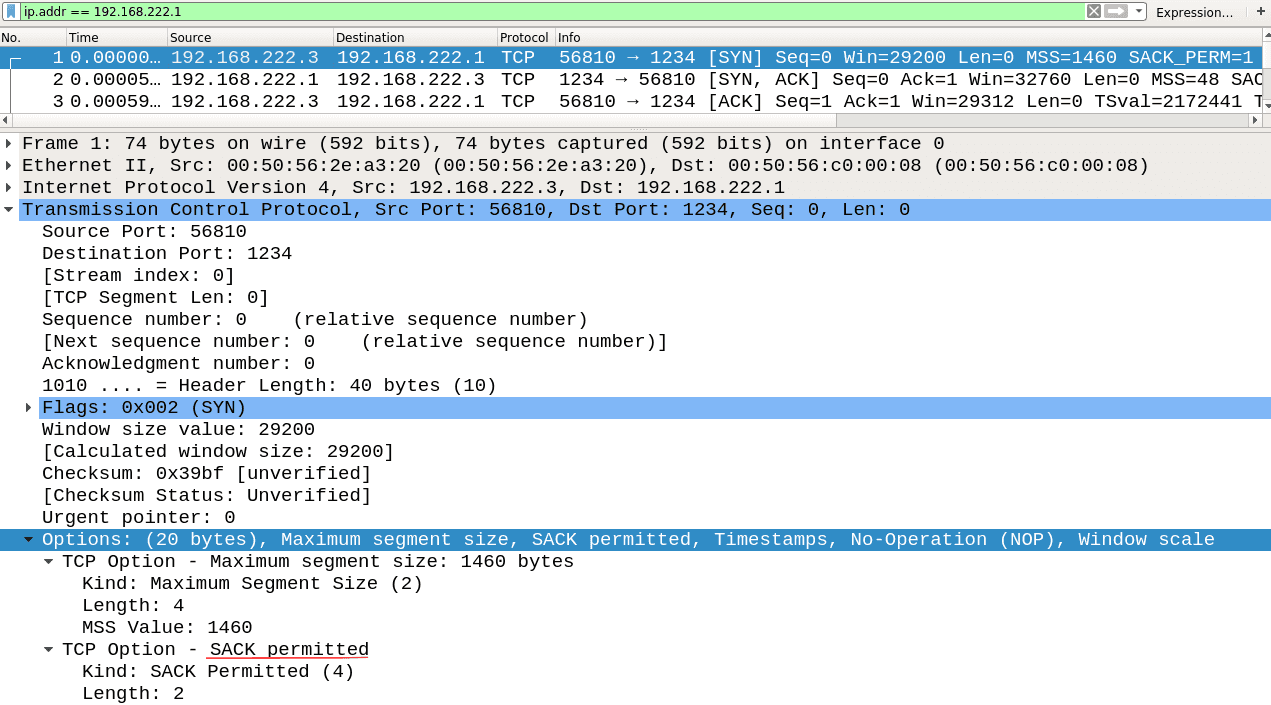 detect SACK Panic with wireshark